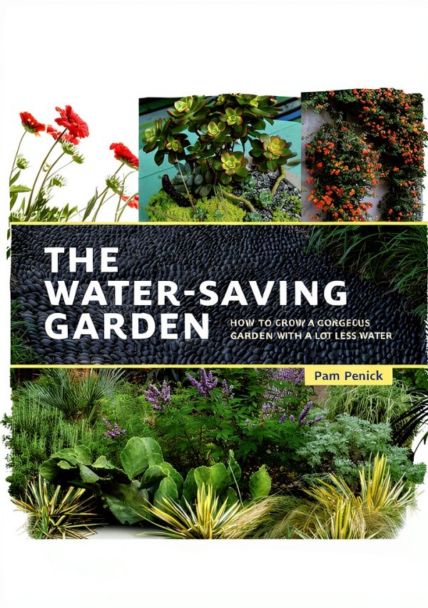 Ten Speed Press Desert Gardening Book Kindle Edition-0