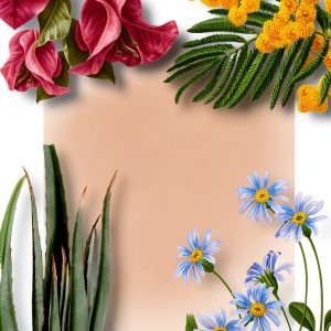 Welbeck Kindle Book Desert Gardening Cacti Succulents Botany-0