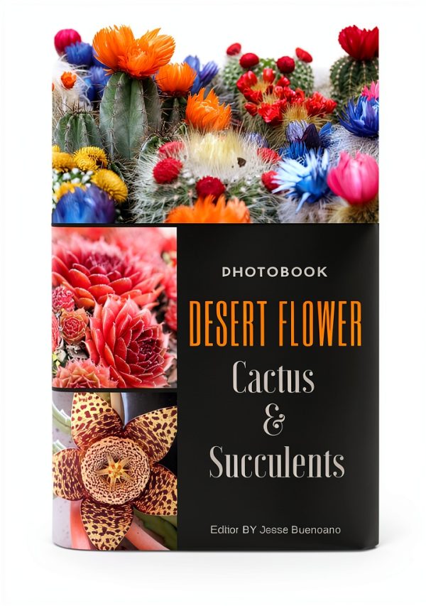 Desert Gardening Book English Kindle Cacti Succulents Guide-0