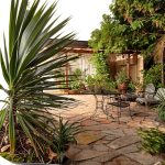 University of Arizona Press Desert Gardening Kindle Book-0