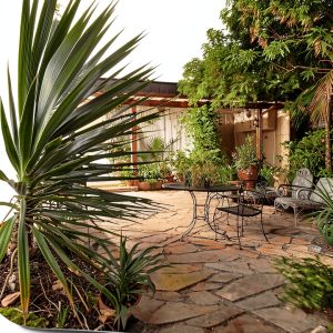 University of Arizona Press Desert Gardening Kindle Book-0