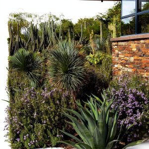 Cool Springs Press Desert Gardening Book Kindle Edition-0