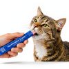 Salmon Cat Treats WholeHearted Lickable Moist-1