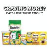 Salmon Temptations Creamy Puree Wet Cat Treats Mars Petcare-9