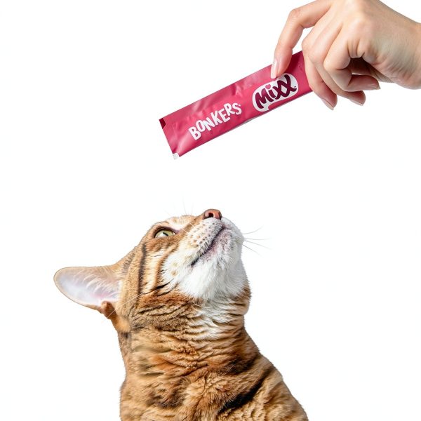 Salmon Lickable Treats for Cats by ZURU Pet Supplies-3
