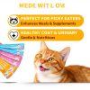 Cat Treats IFELLO PET Wet Treat Paste 12 Count Variety Pack-4
