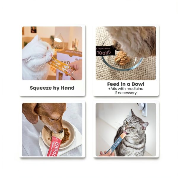 Choolip Vet-Formulated Lickable Treats 0.53 Ounce Pack for Cats & Dogs-4
