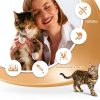 Petphabet Cat Treat Paste 20 Tube Pack 0.5oz Chicken Salmon Tuna-3