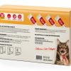 Petphabet Cat Treat Paste 20 Tube Pack 0.5oz Chicken Salmon Tuna-6