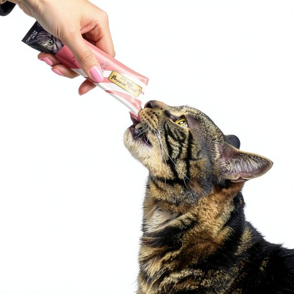 Southeast Asian Packaging Cat Treat Paste Creamy Moist 3.49oz-4