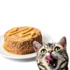 Purina Chicken Cat Treat Tube 0.5oz Lickable Snack for Hydration-6