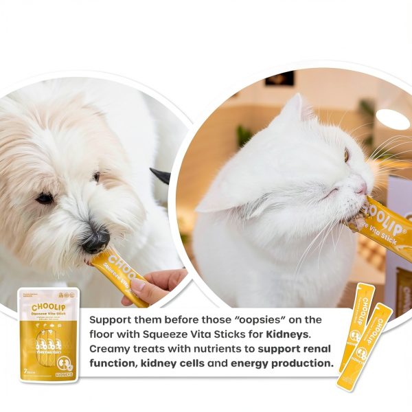 Choolip Urinary Support Treat Paste Tuna and Pollack 3.7oz-6
