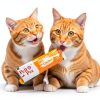 Cat Treats IFELLO PET Wet Treat Paste 12 Count Variety Pack-6