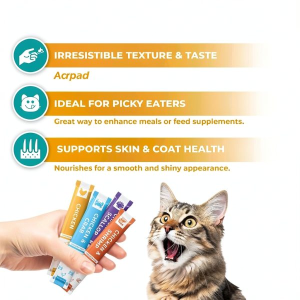 Cat Treat Paste Chicken Mix 20 & 40 Sticks by Beloved Pets-1